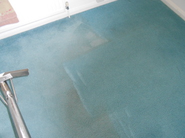 Carpet During Cleaning