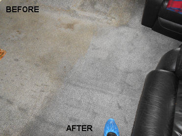 Dirty Carpet