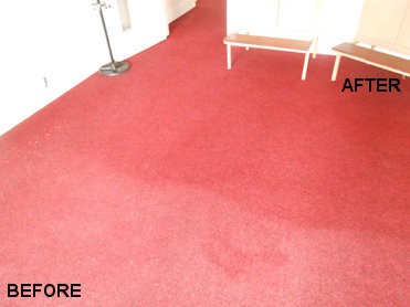 Commercial Carpet Cleaning