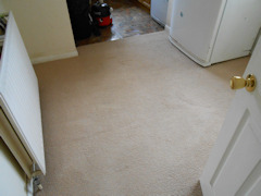 Carpet Cleaning
