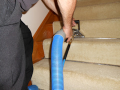Carpet Cleaning